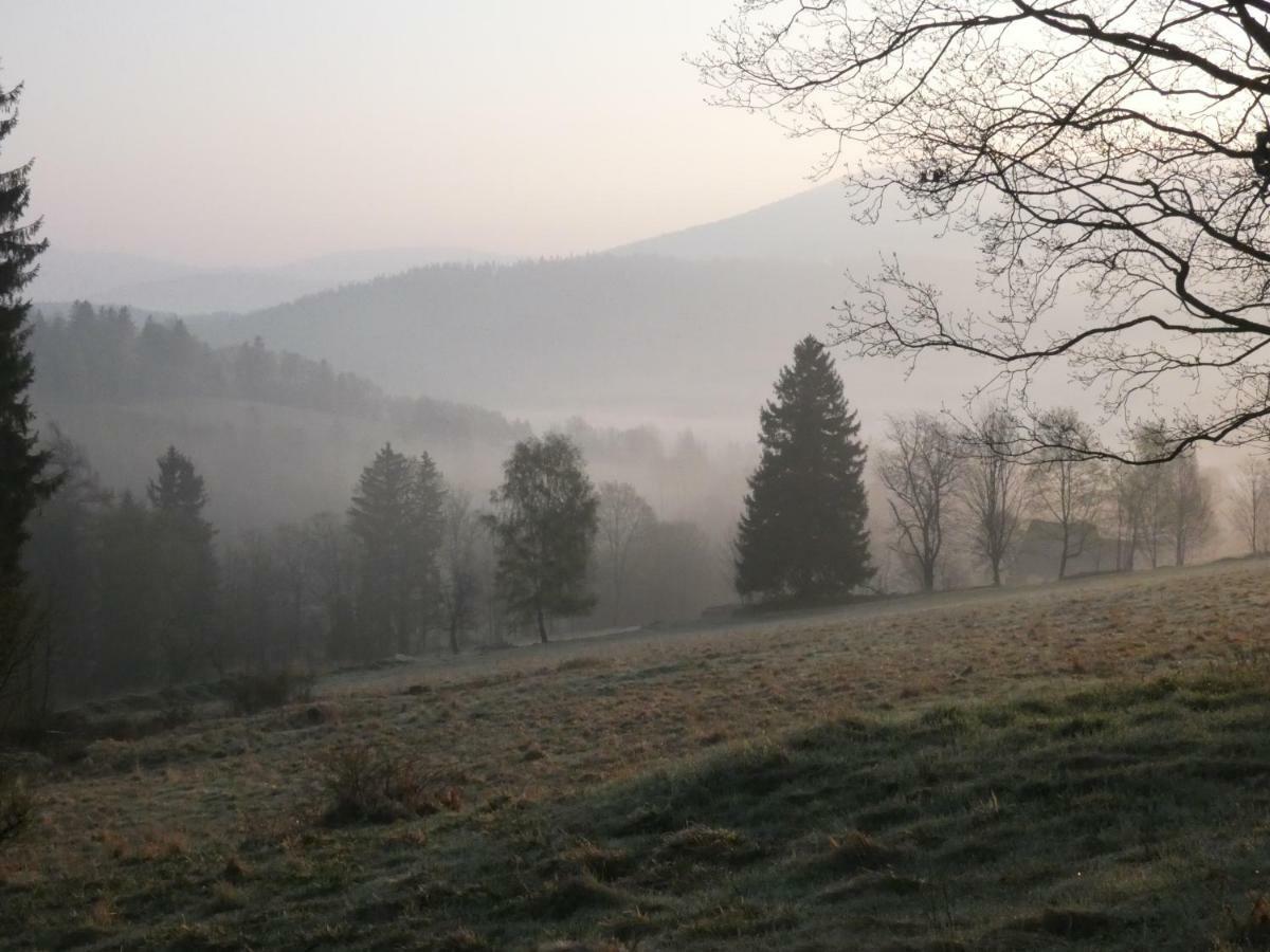 Dom Mlynsko Appartement Stronie Śląskie Buitenkant foto