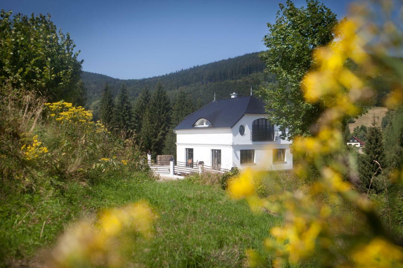 Dom Mlynsko Appartement Stronie Śląskie Buitenkant foto